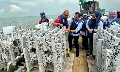 20 tukun mesra alam dilabuhkan di Perairan Telok Mas