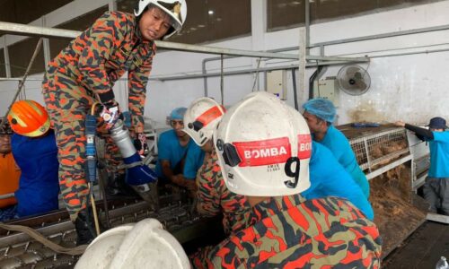 Tahan sakit 40 minit tangan tersepit dalam mesin kupas sabut kelapa