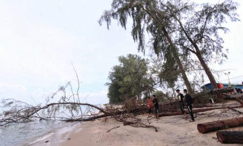 PINDAH PENIAGA, BARU TAMBAK LAUT