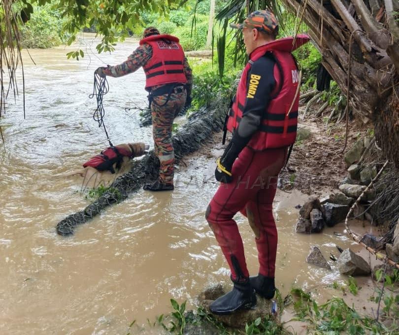 66118d24 2f32 4bd8 B729 90b4649ebb87