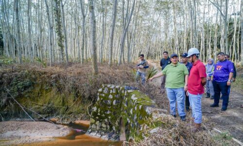 SYARIKAT KENDALI TAPAK PELUPUSAN SAMPAH BAKAL DIKENAKAN TINDAKAN