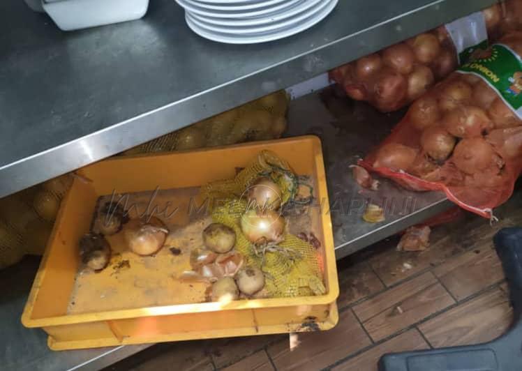 Whatsapp Image 2024 11 22 At 1.45.12 Pm