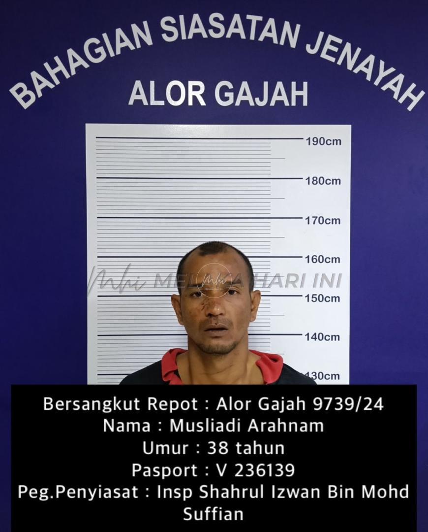 Whatsapp Image 2024 11 28 At 09.40.54