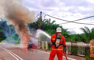 Whatsapp Image 2024 11 28 At 11.50.14