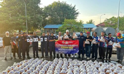 400,000 BENIH UDANG GALAH DILEPASKAN DI SUNGAI LINGGI