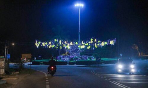 ALOR GAJAH BERSERI, LAMPU RAYA SAMBUT KEPULANGAN PERANTAU