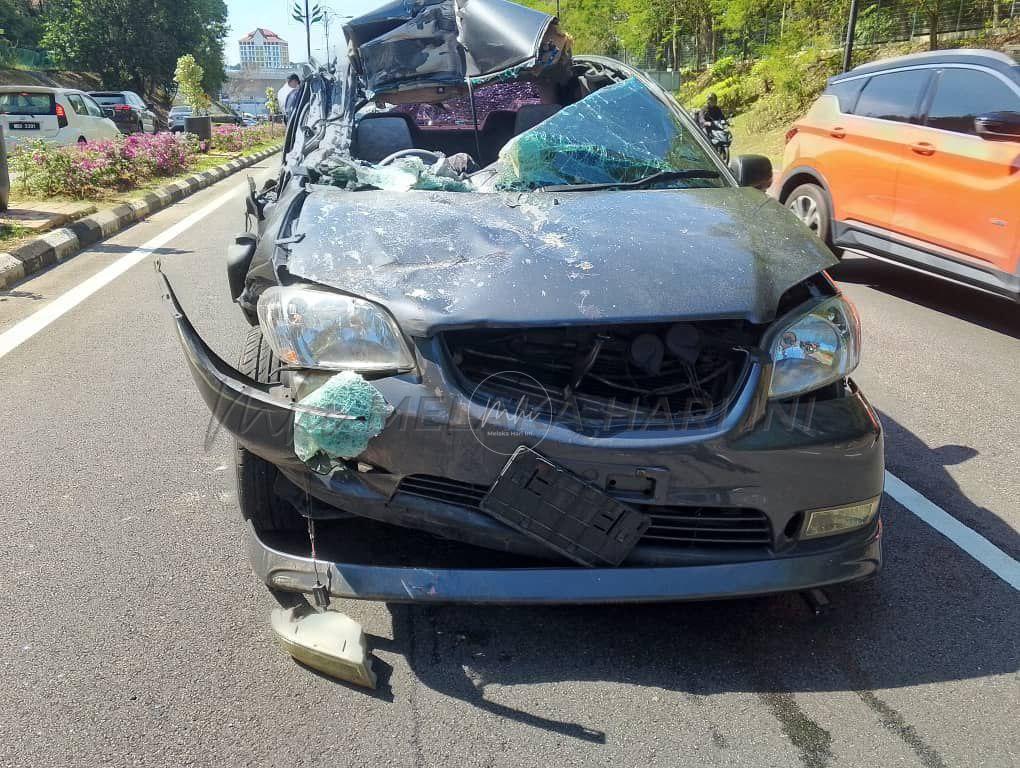 Img 20250307 212610 694