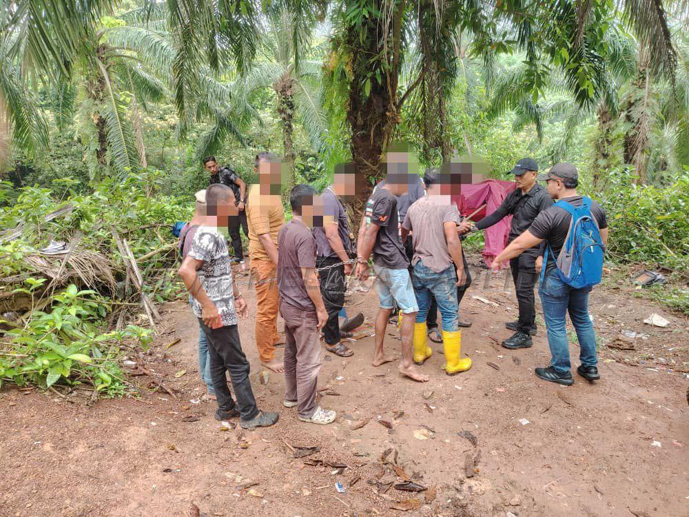 Img 20250330 163037 871