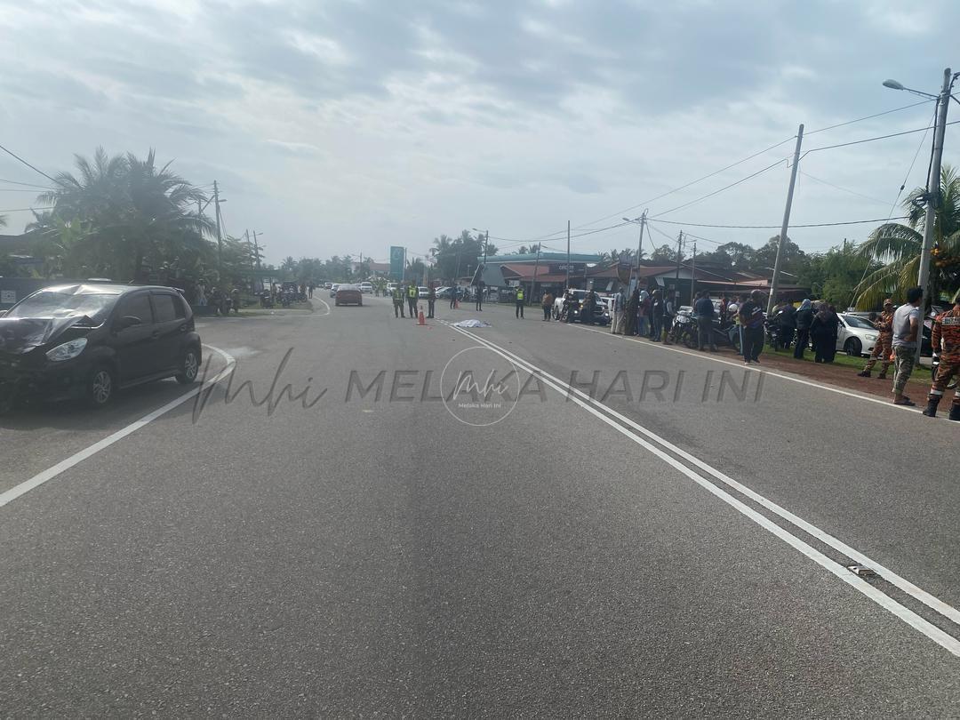 Whatsapp image 2025 03 24 at 5.51.54 pm