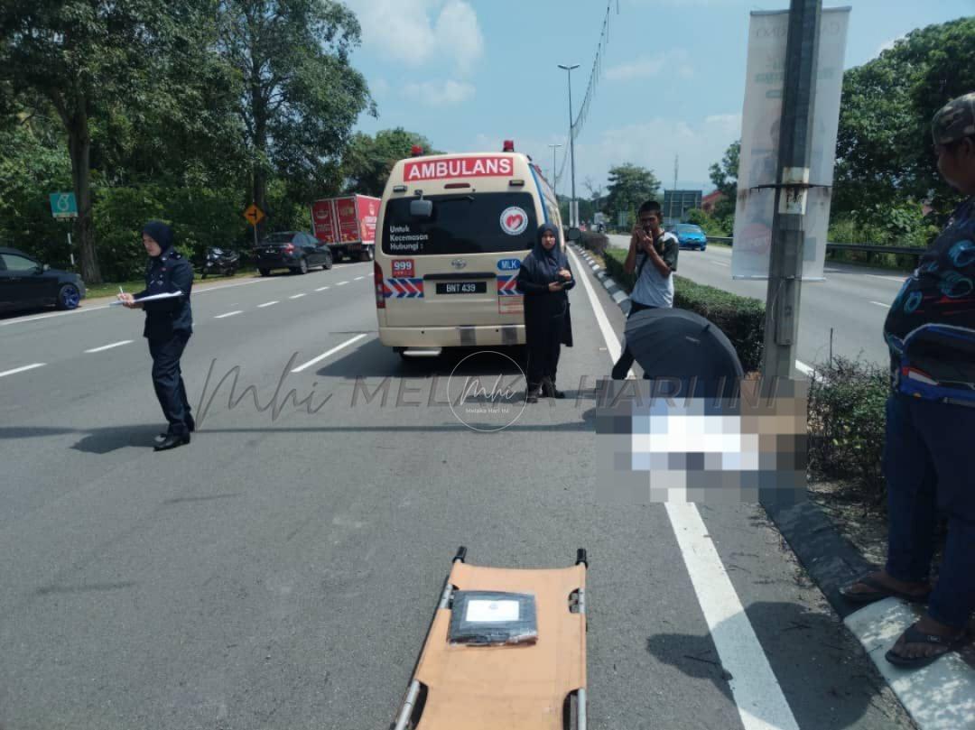 Whatsapp image 2025 03 29 at 17.51.06