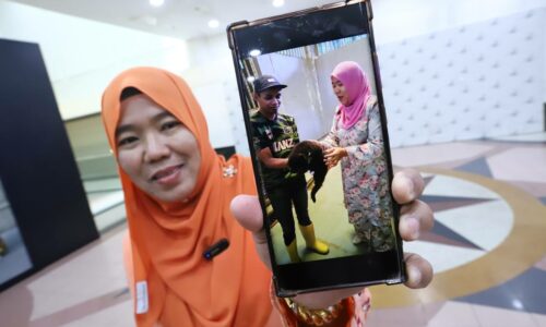 ZOO MELAKA SAMBUT KELAHIRAN HARIMAU KUMBANG JANTAN