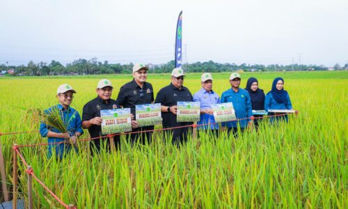 BENIH PADI MELAKA MENJAMIN SEKURITI MAKANAN NEGERI