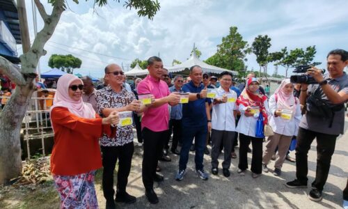 NYAMUK BERWOLBACHIA KURANGKAN 70 PERATUS KES DENGGI DI MELAKA
