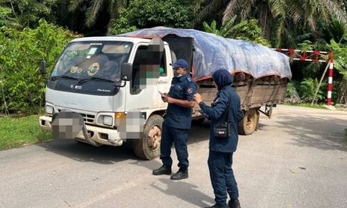 MPJ KOMPAUN LORI SAWIT GUNA JALAN TAMAN TANPA KEBENARAN