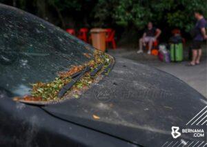 Img 20250403 145155 777