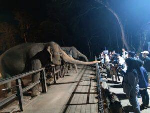 Img 20250406 095147 271