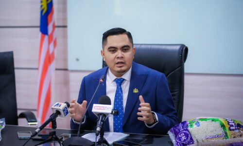 DUA SYARAT UNTUK PENTERNAK BABI PAYA MENGKUANG