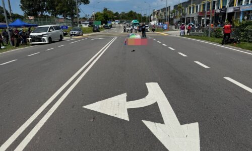 PENIAGA NASI KERABU MAUT DIGILIS TRELER