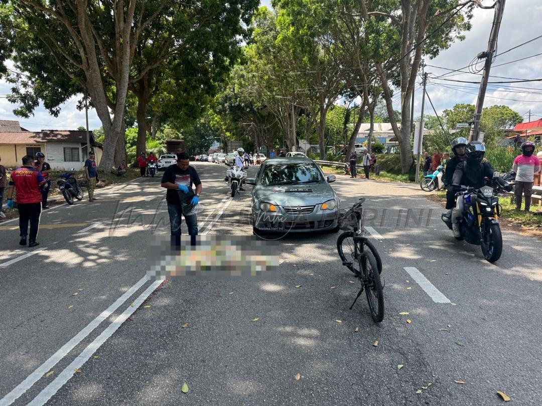 Whatsapp image 2025 04 15 at 17.40.05