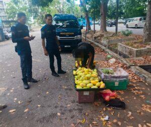 Whatsapp image 2025 04 18 at 19.33.02