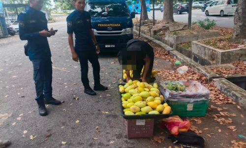 MPHTJ GEMPUR PENIAGA WARGA ASING