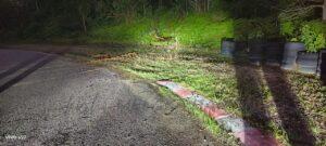 Whatsapp image 2025 04 28 at 4.48.55 pm