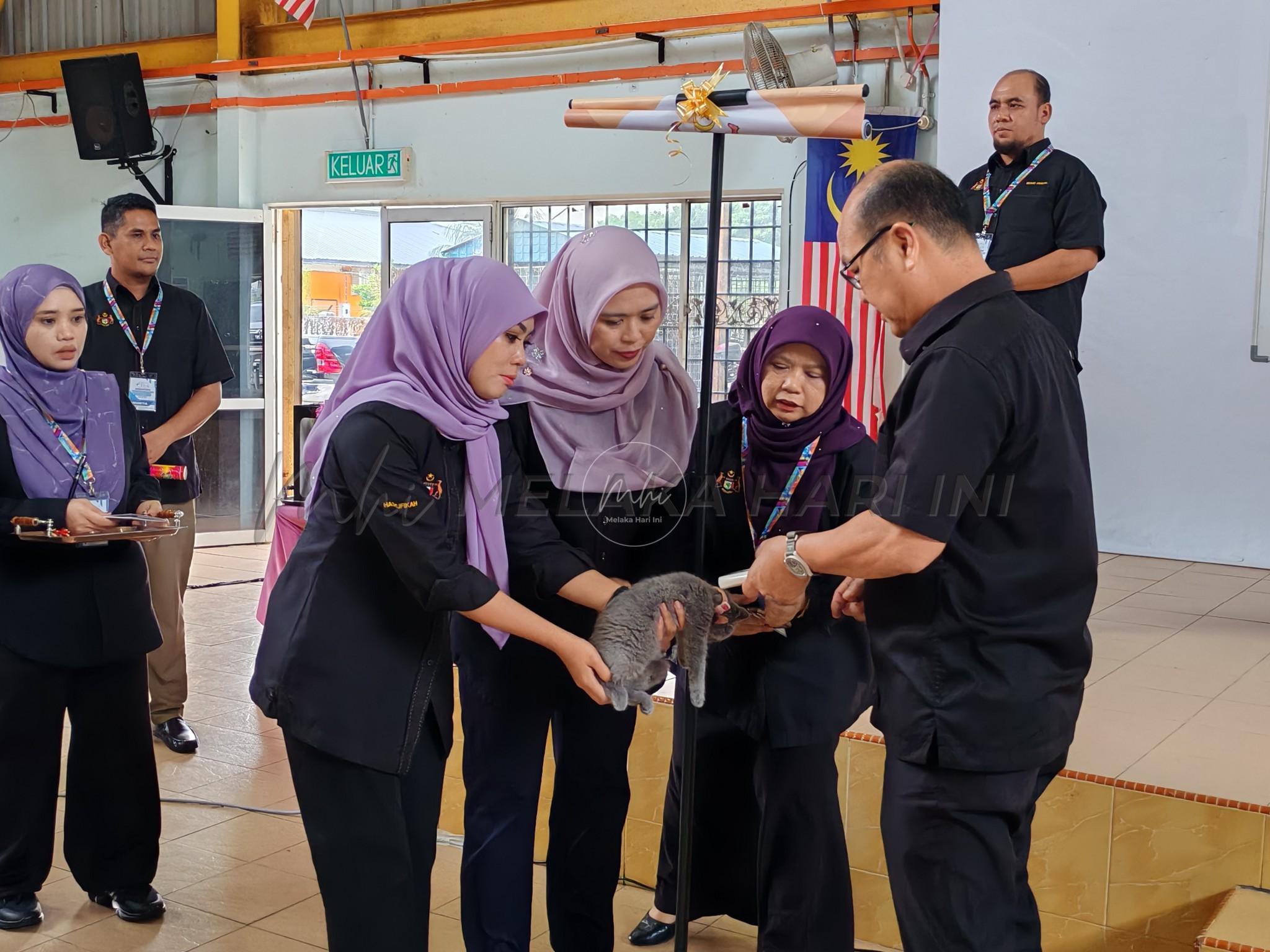 493567308 1273897754303791 7849010860919511717 n