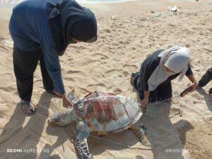 Img 20250510 wa0004