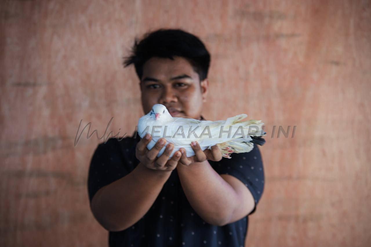 Img 20250511 132012 421