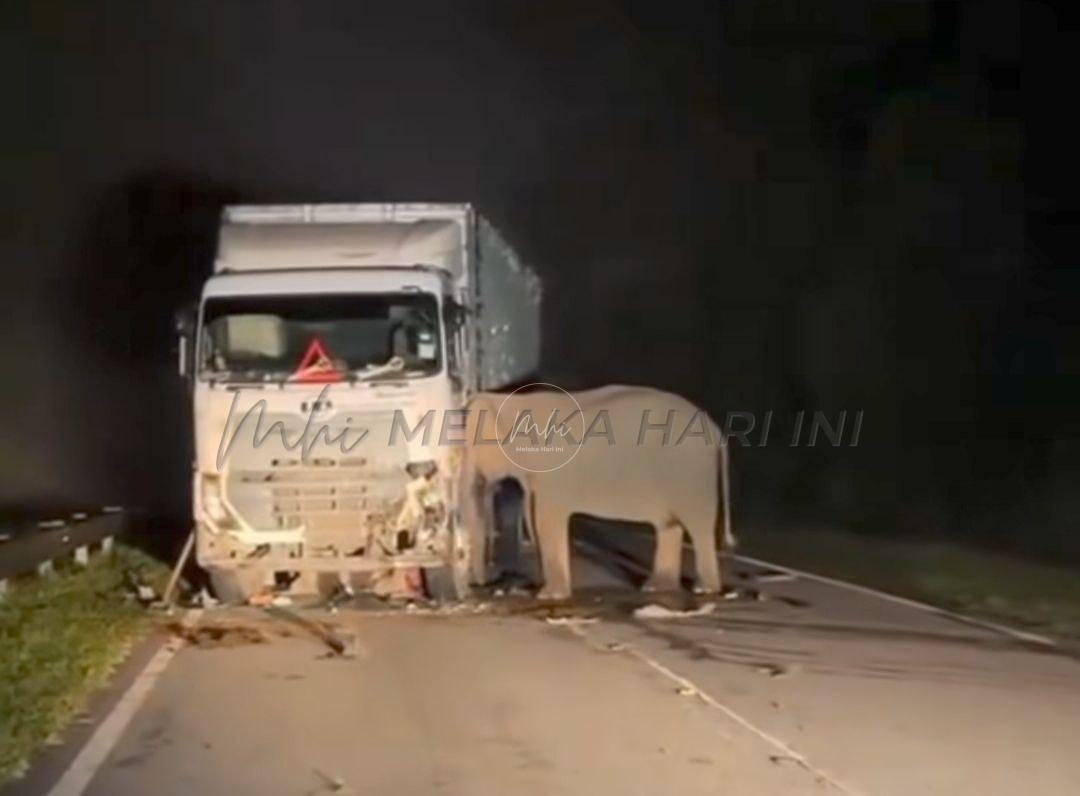 Img 20250511 133921 912