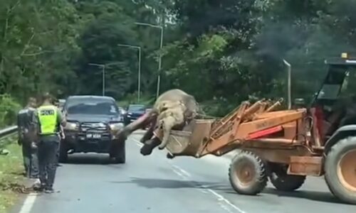 LINTASAN HIDUPAN LIAR PERLU DIBINA