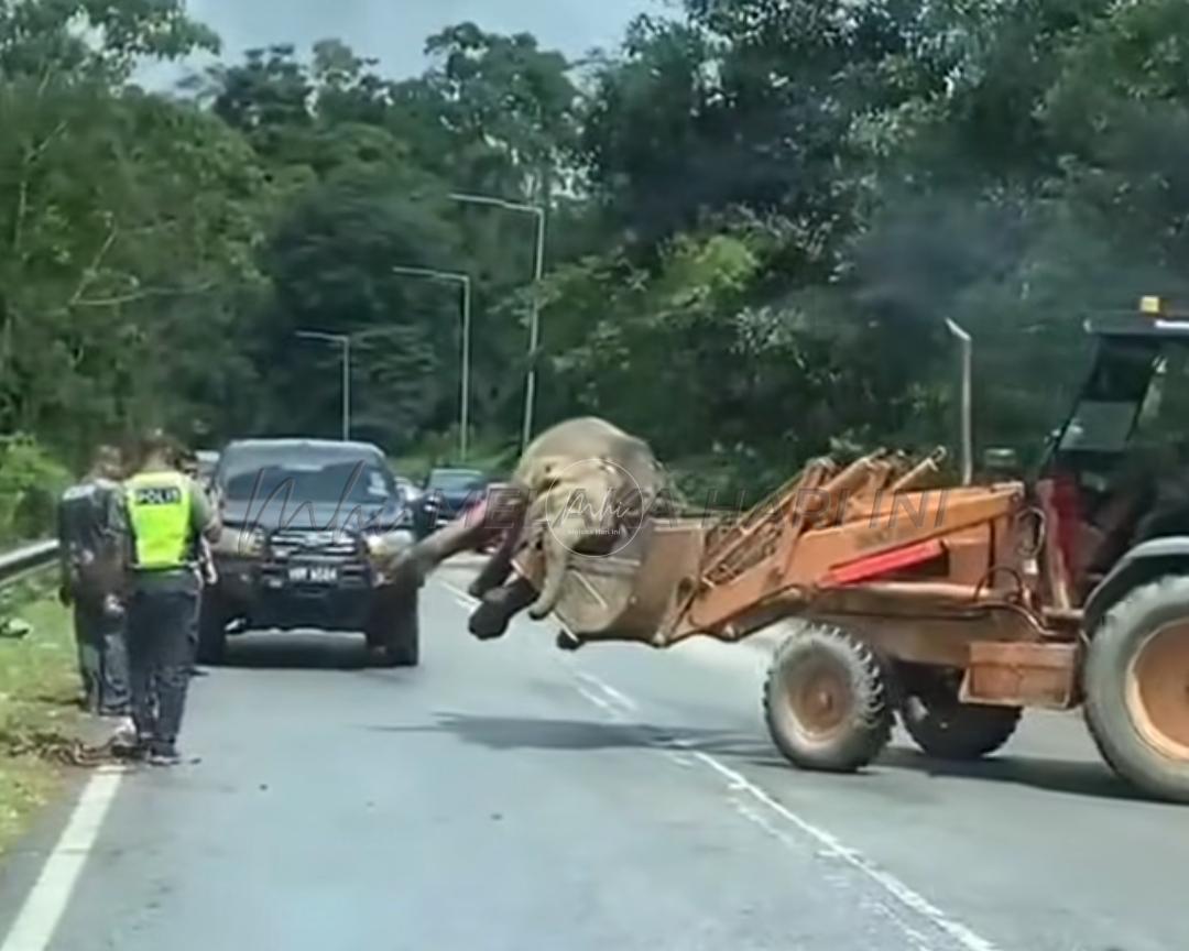 Screenshot 2025 05 12 14 17 24 675 com.facebook.katana edit