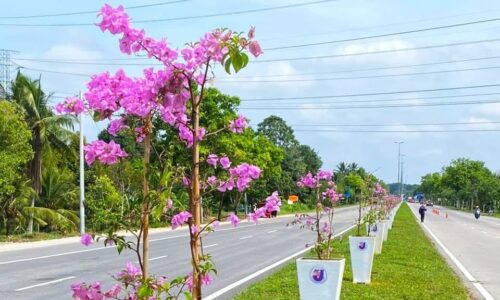 ‘BOUGAINVILLEA’ CERIAKAN BANDAR JASIN