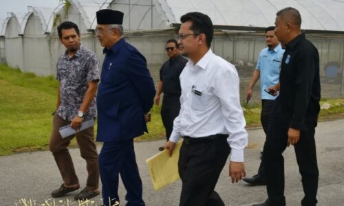 PROJEK PERTANIAN, PENTERNAKAN MAIM SEMAKIN RANCAK