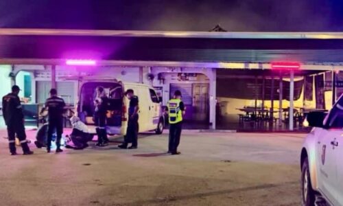 MPJ ADAKAN OPERASI KAWALAN GANGGUAN LALAT BERSEPADU