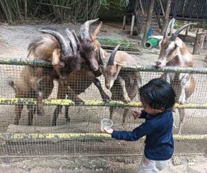 503338589 18273389755285185 7646864994371444716 n