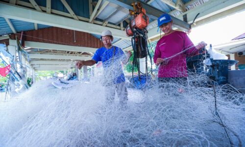 TERNAKAN KUPANG REDAKAN ‘GELORA’ PAK SIDEK