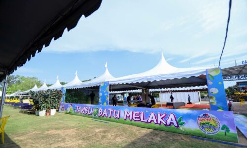 JAMBU BATU, NANAS MD2 PERCUMA BUAT PENGUNJUNG HARI PERTAMA MELAKA AGROFEST 2025