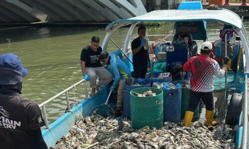 IKAN MATI DI SUNGAI MELAKA: KERAJAAN NEGERI AMBIL TINDAKAN SEGERA, SIASATAN SEDANG DIJALANKAN
