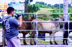 Img 20250607 133003 911