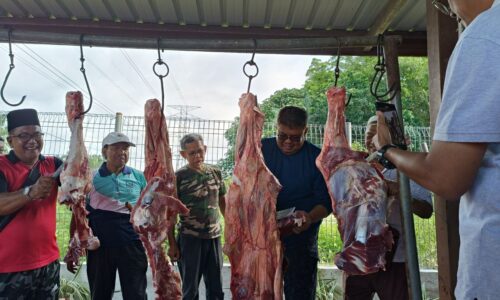 SAMBUTAN AIDILADHA MERIAH DI TANJUNG BIDARA