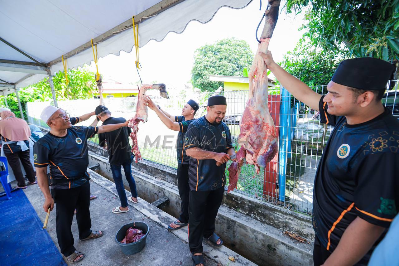 Img 20250608 233344 572