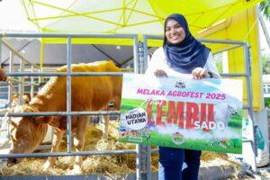 Img 20250629 203906 097