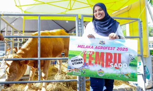 TUAH NURUL AINI BAWA PULANG ‘ADIK SADO’