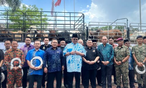 MELAKA SUMBANG 76 EKOR LEMBU KORBAN SEMPENA AIDILADHA
