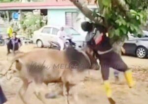 Whatsapp image 2025 06 09 at 2.56.22 pm