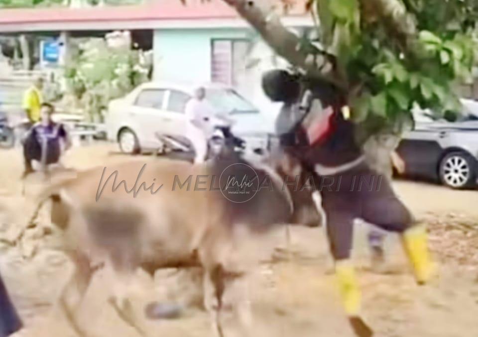 Whatsapp image 2025 06 09 at 2.56.22 pm