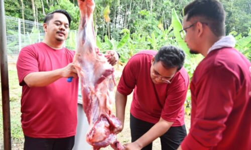 IBADAH KORBAN PELUANG ORANG ASLI RASAI SUASANA AIDILADHA