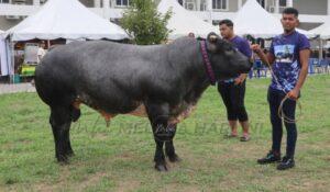 Whatsapp image 2025 06 16 at 1.38.31 pm