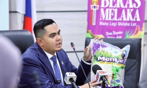BERAS MELAKA FASA KEDUA DIJANGKA DIPASARKAN BERMULA OGOS